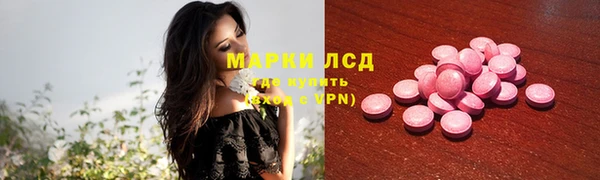 трава Тайга