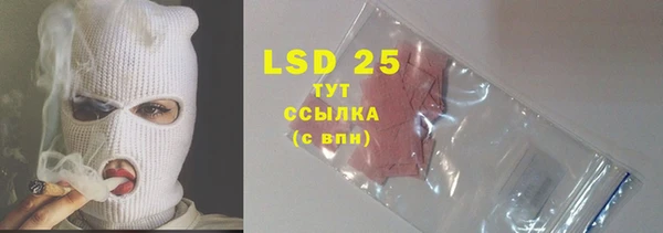 шишки Балахна