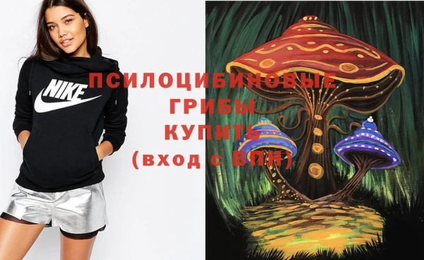 шишки Балахна